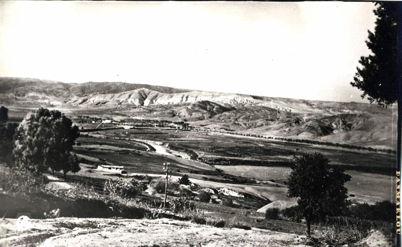 Ain tedeles 514- Plaine du Cheliff COLLECTION DES AMIS DE ND DE SANTA CRUZ.jpg